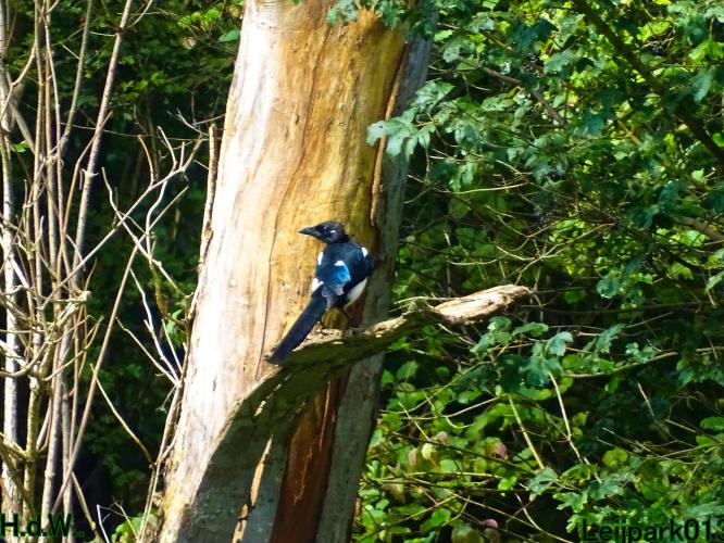 Leijpark013 14 &amp; 15 &amp; 16 &amp; 17 september 2023