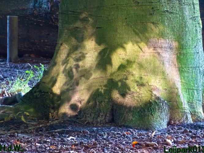 Leijpark013 14 &amp; 15 &amp; 16 &amp; 17 september 2023