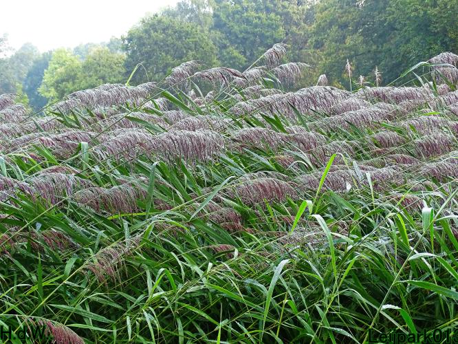 Leijpark013 14 &amp; 15 &amp; 16 &amp; 17 september 2023