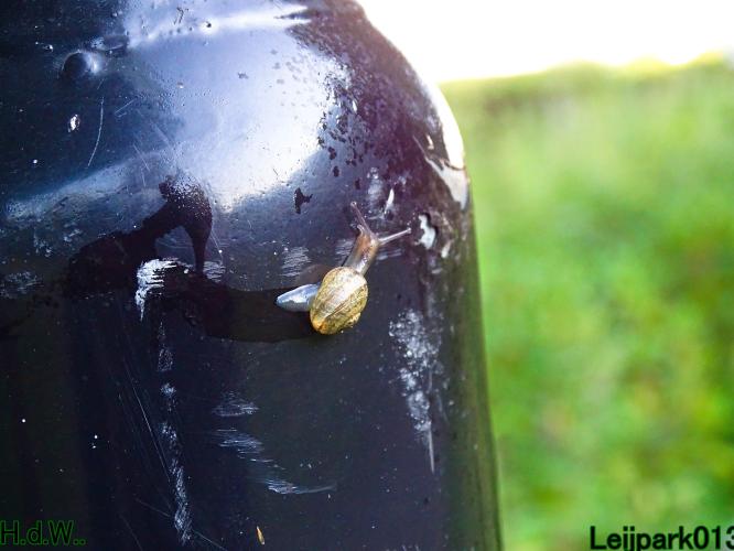 Leijpark013 14 &amp; 15 &amp; 16 &amp; 17 september 2023