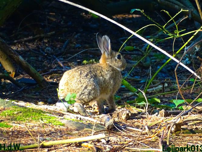 Leijpark013 14 &amp; 15 &amp; 16 &amp; 17 september 2023