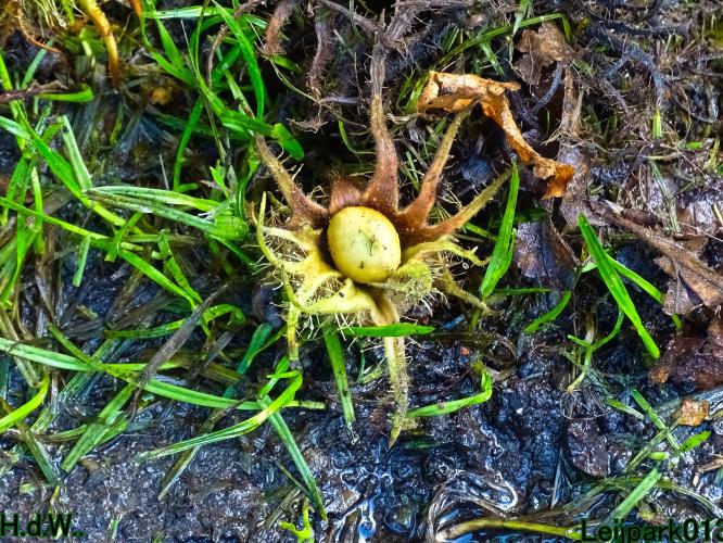 Leijpark013 14 &amp; 15 &amp; 16 &amp; 17 september 2023