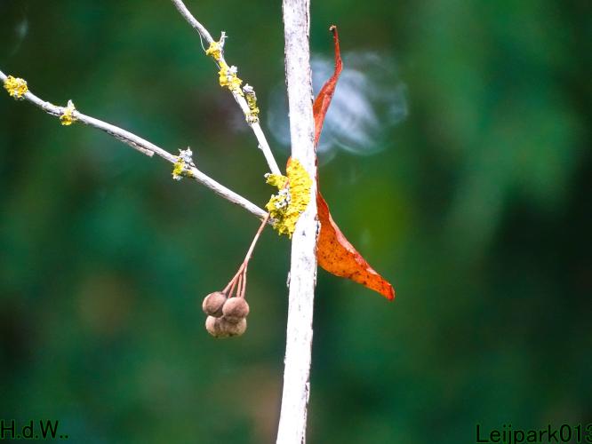 Leijpark013 14 &amp; 15 &amp; 16 &amp; 17 september 2023