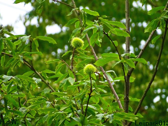 Leijpark013 14 &amp; 15 &amp; 16 &amp; 17 september 2023