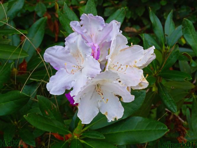 Leijpark013 4 &amp; 5 &amp; 6 &amp; 7 oktober 2023 