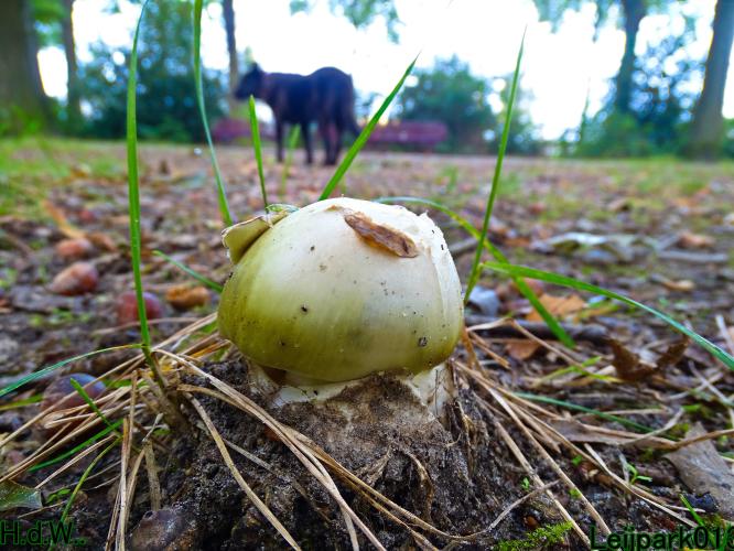 Leijpark013 4 &amp; 5 &amp; 6 &amp; 7 oktober 2023 