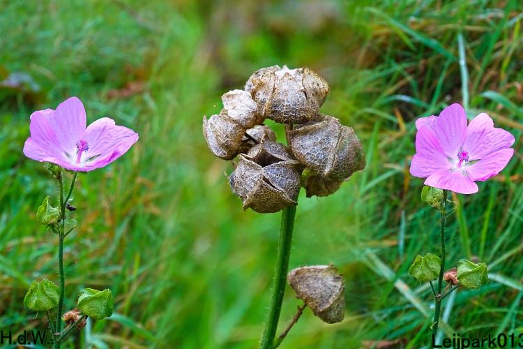 Leijpark013 4 &amp; 5 &amp; 6 &amp; 7 oktober 2023 