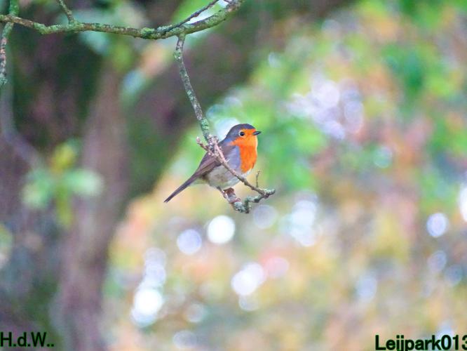 Leijpark013 4 &amp; 5 &amp; 6 &amp; 7 oktober 2023 