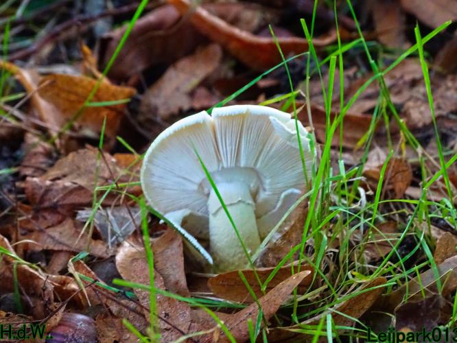 Leijpark013 4 &amp; 5 &amp; 6 &amp; 7 oktober 2023 