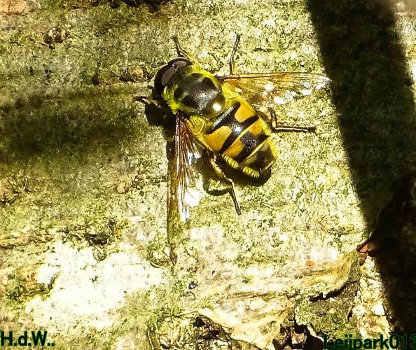 Leijpark013 4 &amp; 5 &amp; 6 &amp; 7 oktober 2023 