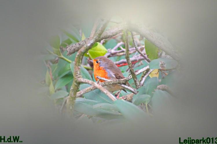 Leijpark013 4 &amp; 5 &amp; 6 &amp; 7 oktober 2023 