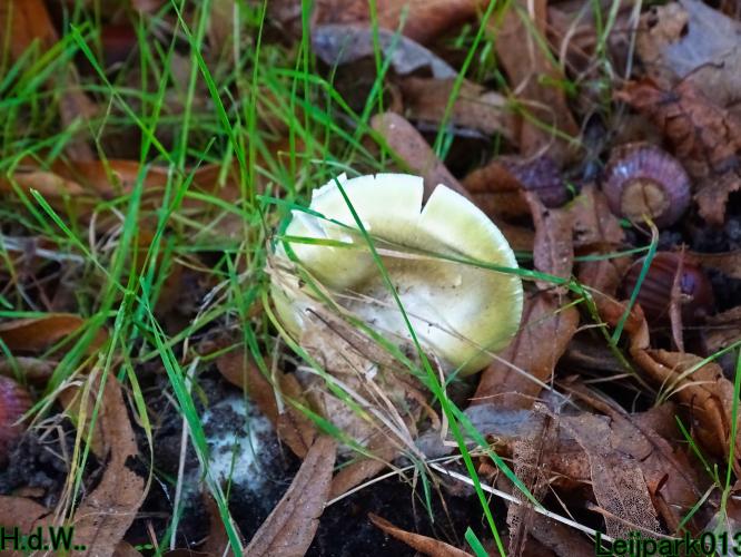 Leijpark013 4 &amp; 5 &amp; 6 &amp; 7 oktober 2023 