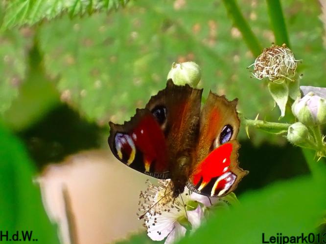 Leijpark013 4 &amp; 5 &amp; 6 &amp; 7 oktober 2023 