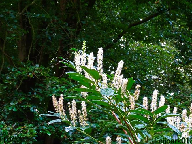 Leijpark013 4 &amp; 5 &amp; 6 &amp; 7 oktober 2023 