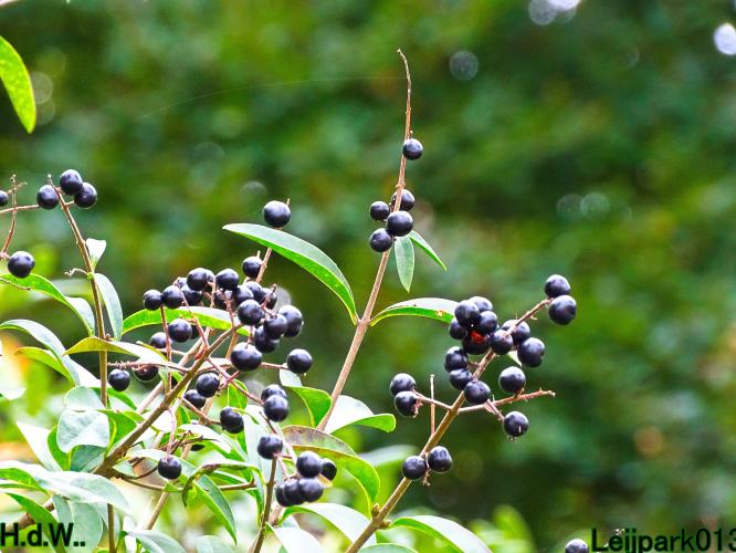 Leijpark013 4 &amp; 5 &amp; 6 &amp; 7 oktober 2023 