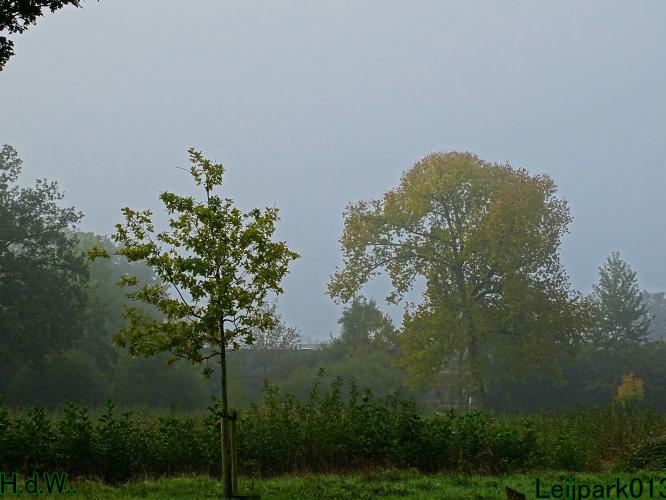 Leijpark013 4 &amp; 5 &amp; 6 &amp; 7 oktober 2023 