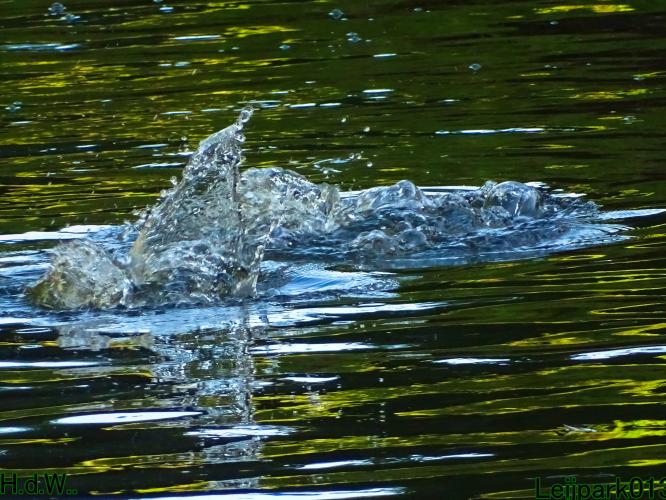 Leijpark013 4 &amp; 5 &amp; 6 &amp; 7 oktober 2023 