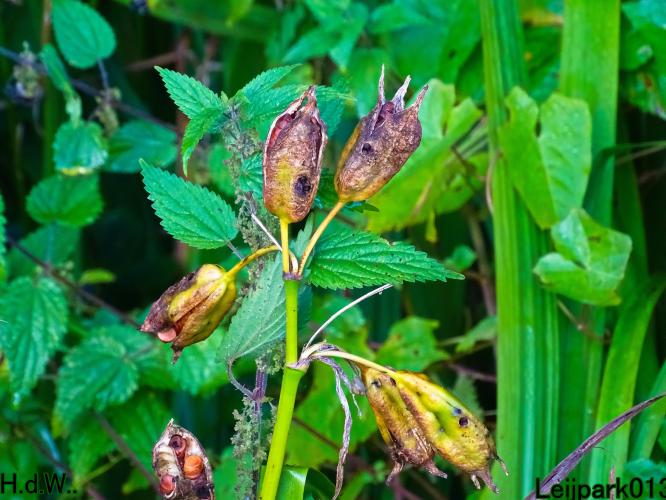 Leijpark013 4 &amp; 5 &amp; 6 &amp; 7 oktober 2023 