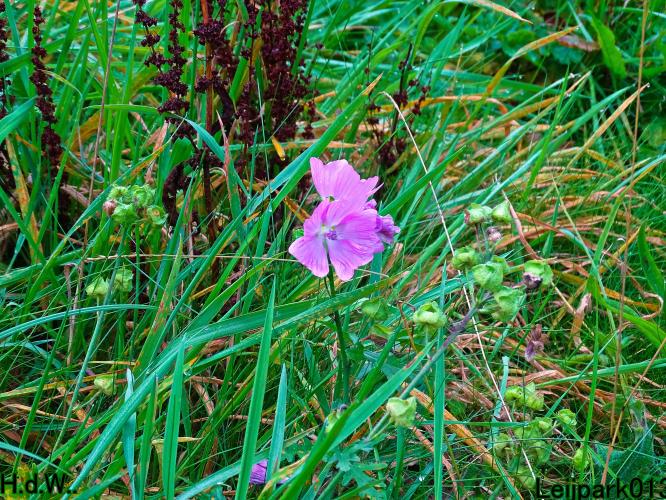 Leijpark013 4 &amp; 5 &amp; 6 &amp; 7 oktober 2023 