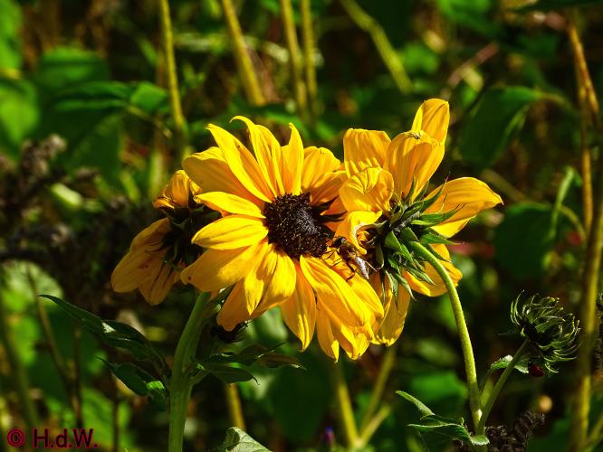 Rechtehei Goirle 10 oktober 2023 