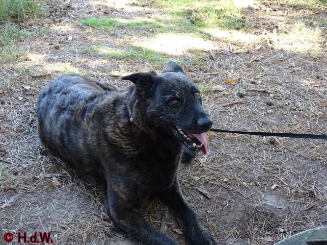 Rechtehei Goirle 10 oktober 2023 