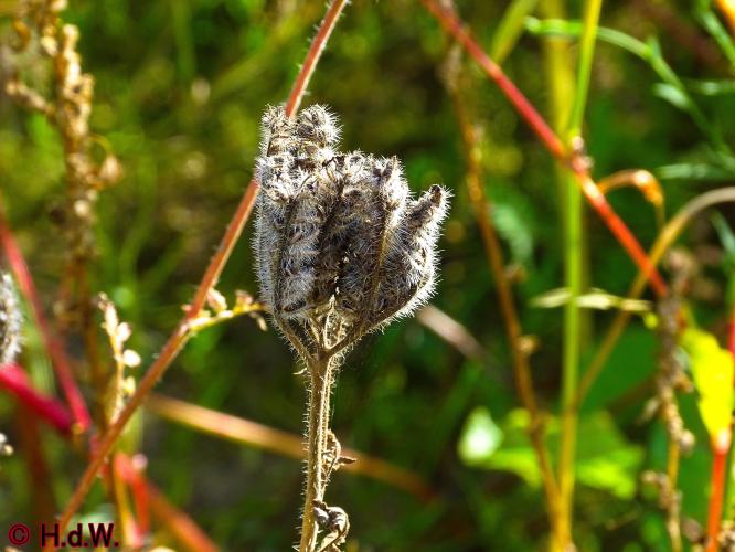 Rechtehei Goirle 10 oktober 2023 