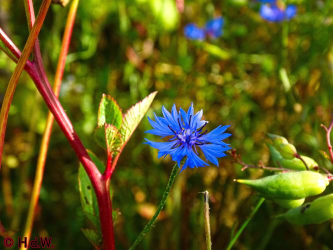 Rechtehei Goirle 10 oktober 2023 