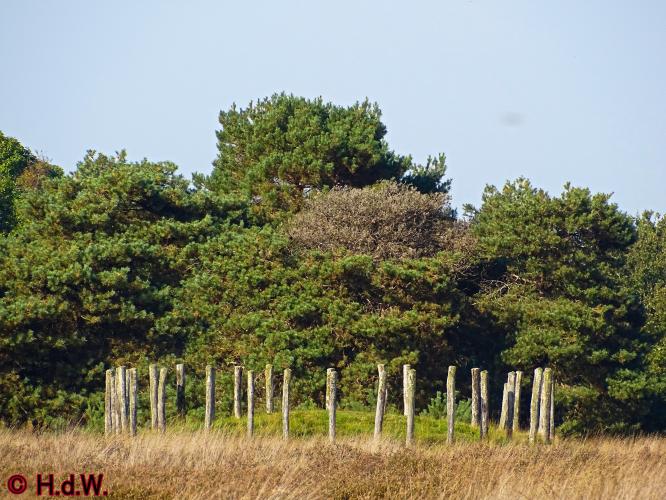 Rechtehei Goirle 10 oktober 2023 