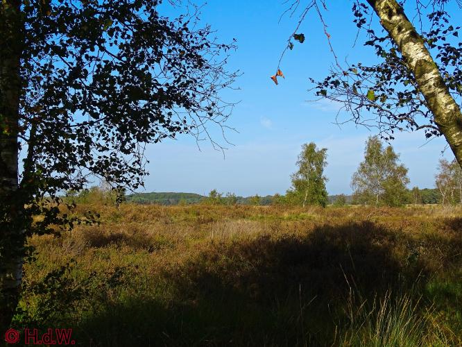 Rechtehei Goirle 10 oktober 2023 