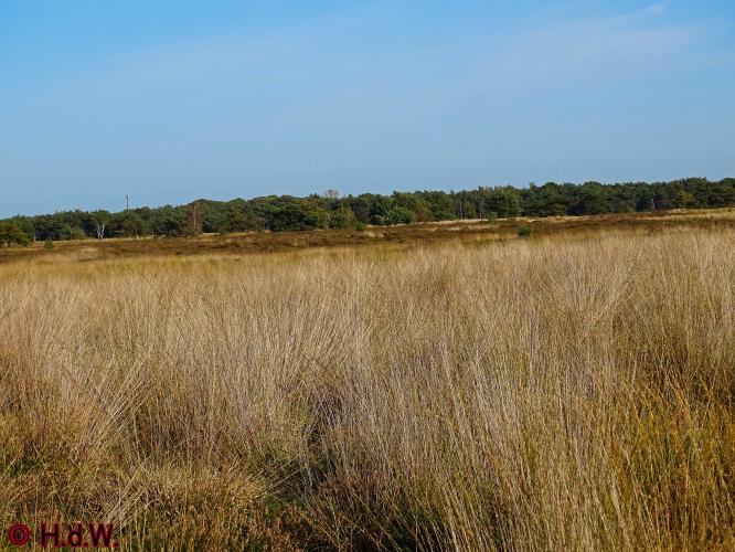 Rechtehei Goirle 10 oktober 2023 