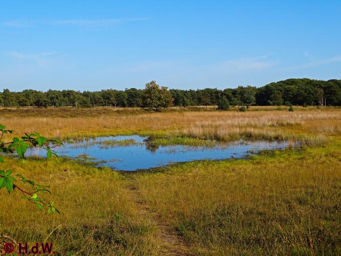 Rechtehei Goirle 10 oktober 2023 