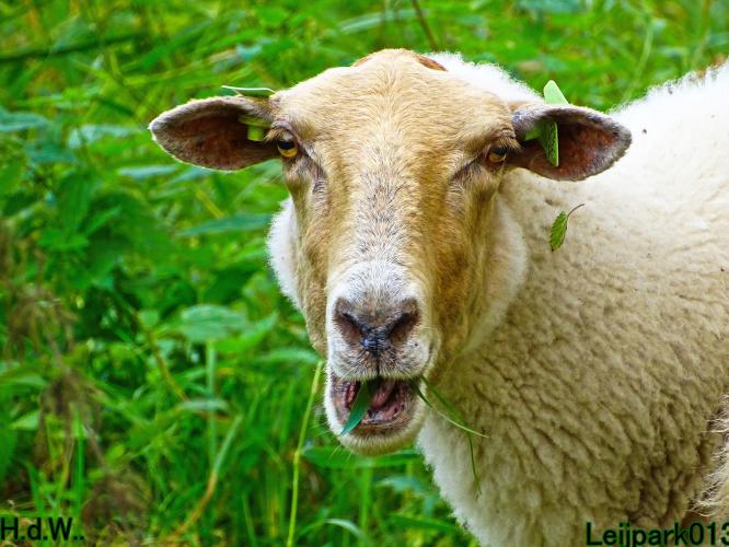 Leijpark013 8 &amp; 9 &amp; 10 &amp; 11 oktober 2023 