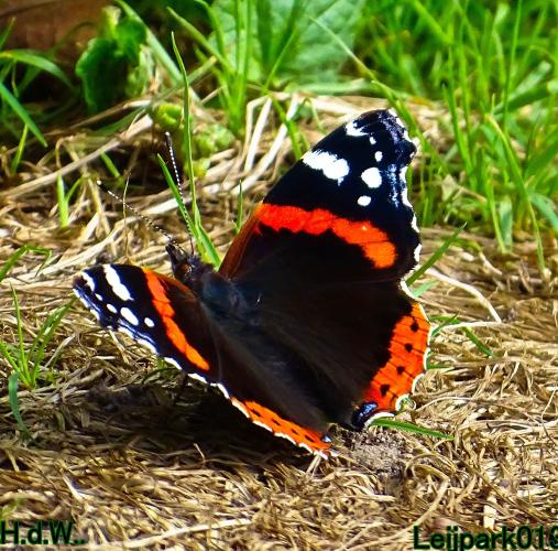 Leijpark013 8 &amp; 9 &amp; 10 &amp; 11 oktober 2023 