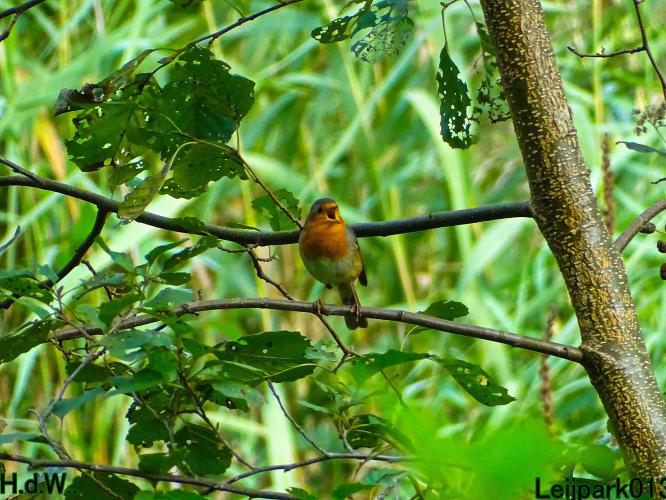 Leijpark013 8 &amp; 9 &amp; 10 &amp; 11 oktober 2023 