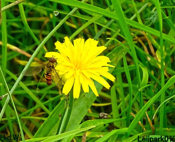 Leijpark013 8 &amp; 9 &amp; 10 &amp; 11 oktober 2023 