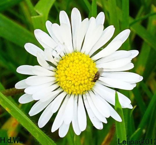 Leijpark013 8 &amp; 9 &amp; 10 &amp; 11 oktober 2023 