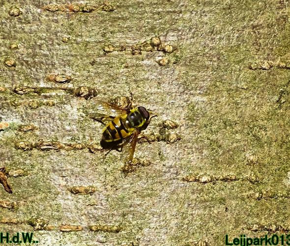 Leijpark013 8 &amp; 9 &amp; 10 &amp; 11 oktober 2023 