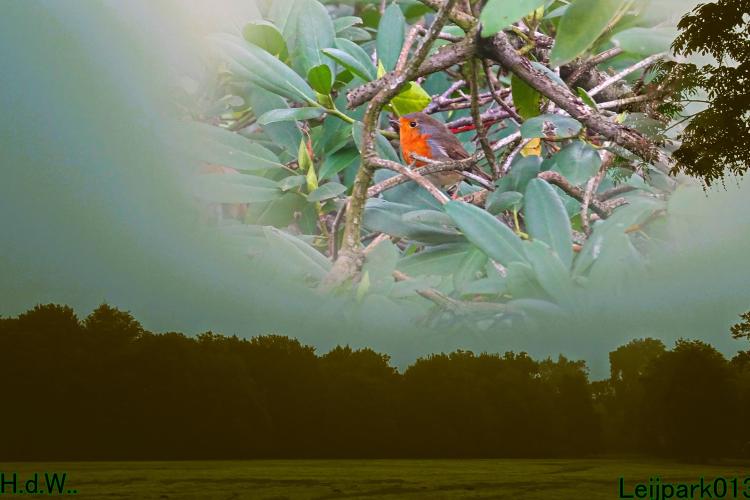 Leijpark013 8 &amp; 9 &amp; 10 &amp; 11 oktober 2023 