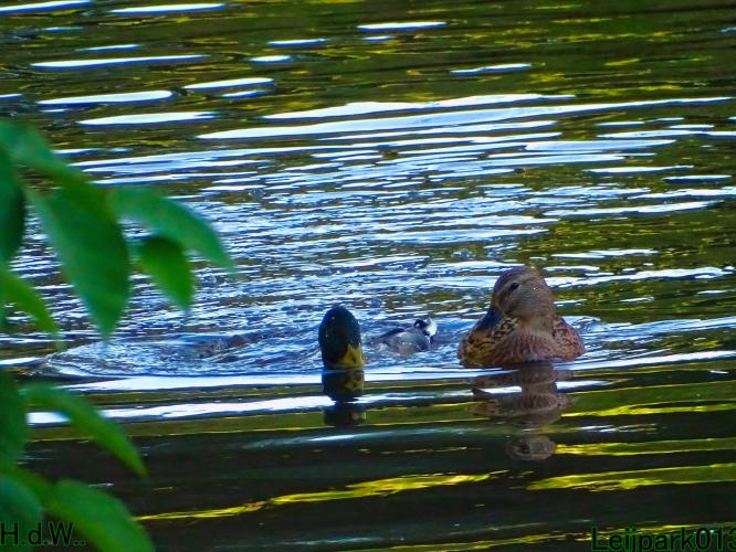 Leijpark013 8 &amp; 9 &amp; 10 &amp; 11 oktober 2023 