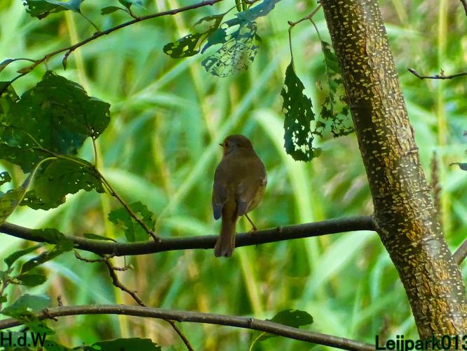 Leijpark013 8 &amp; 9 &amp; 10 &amp; 11 oktober 2023 