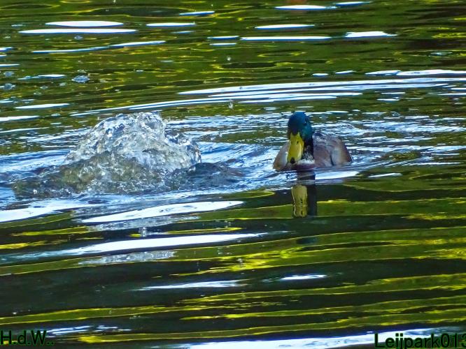 Leijpark013 8 &amp; 9 &amp; 10 &amp; 11 oktober 2023 