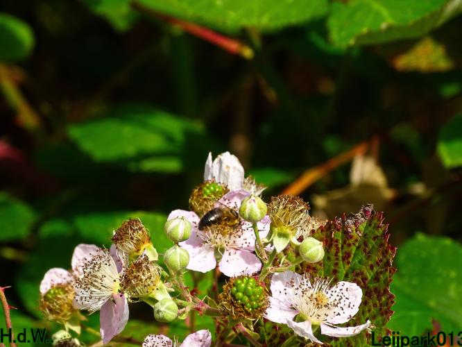 Leijpark013 8 &amp; 9 &amp; 10 &amp; 11 oktober 2023 
