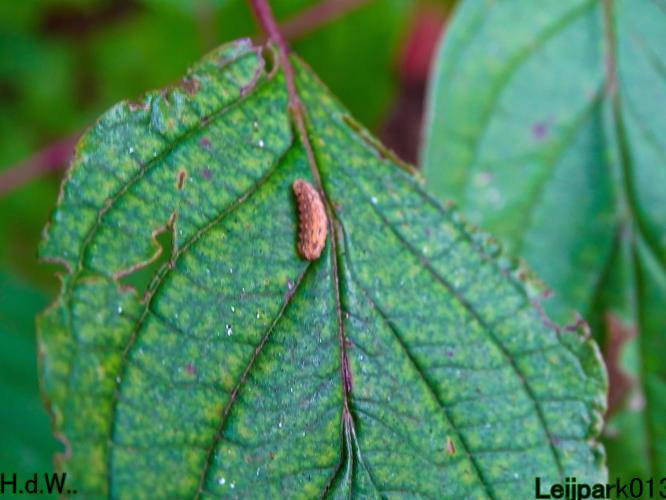 Leijpark013 8 &amp; 9 &amp; 10 &amp; 11 oktober 2023 