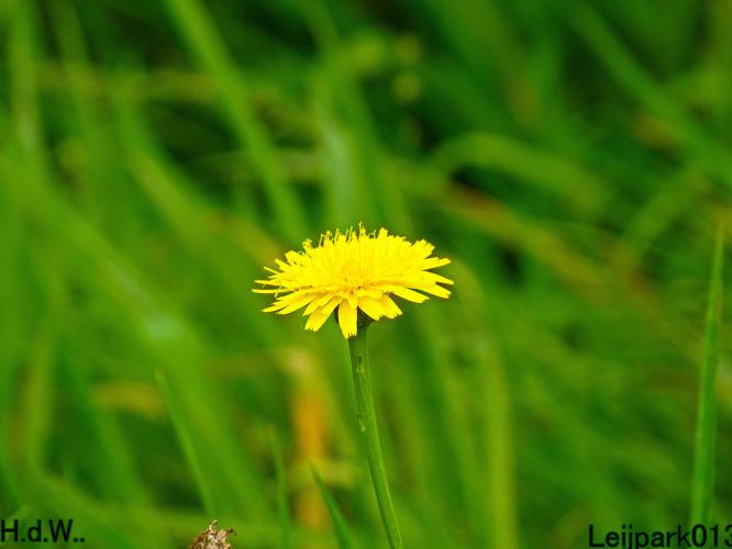 Leijpark013 8 &amp; 9 &amp; 10 &amp; 11 oktober 2023 