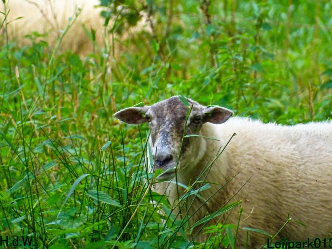 Leijpark013 8 &amp; 9 &amp; 10 &amp; 11 oktober 2023 