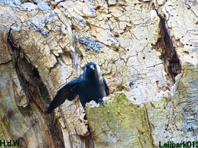 Leijpark013 8 &amp; 9 &amp; 10 &amp; 11 oktober 2023 