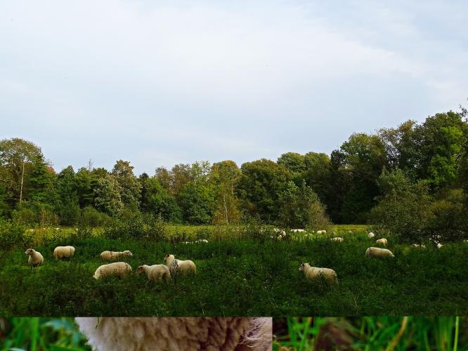 Leijpark013 8 &amp; 9 &amp; 10 &amp; 11 oktober 2023 