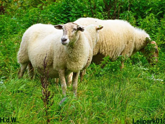 Leijpark013 8 &amp; 9 &amp; 10 &amp; 11 oktober 2023 