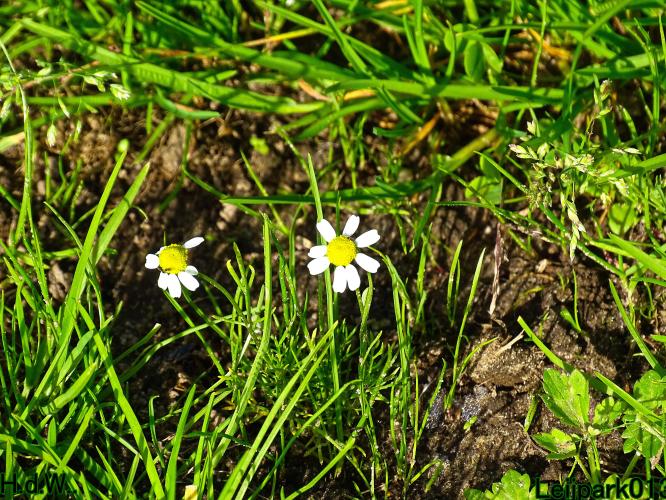 Leijpark013 8 &amp; 9 &amp; 10 &amp; 11 oktober 2023 