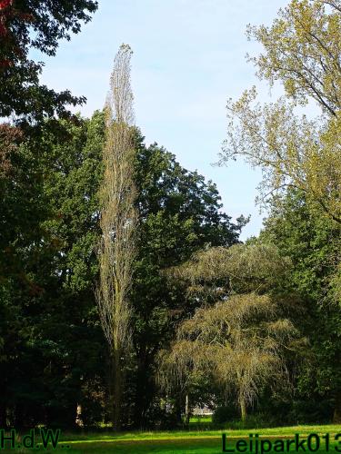 Leijpark013 8 &amp; 9 &amp; 10 &amp; 11 oktober 2023 